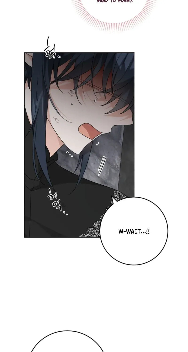 Hiding the Archduke's Humiliating History Chapter 110 page 35 - 