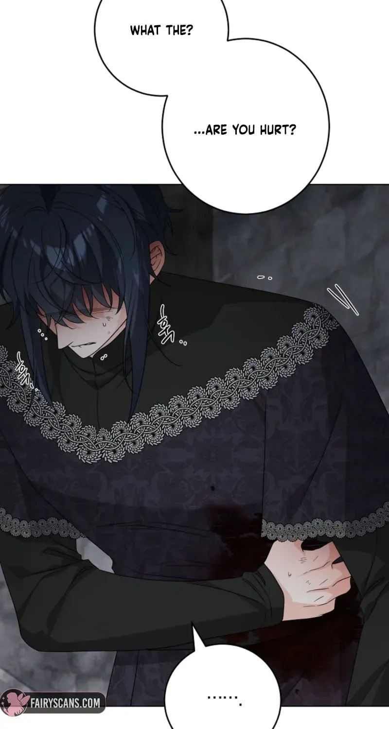 Hiding the Archduke's Humiliating History Chapter 110 page 37 - 