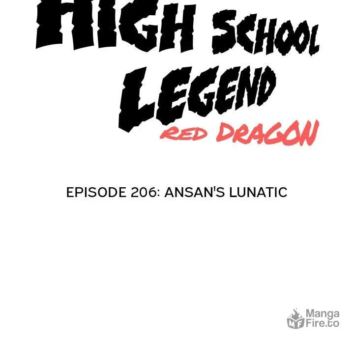 Read High School Legend: Red Dragon chapter 206 image 9 on Lezhin