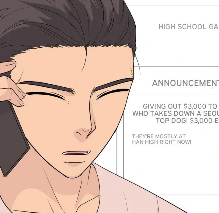 Read High School Legend: Red Dragon chapter 215 image 16 on Lezhin
