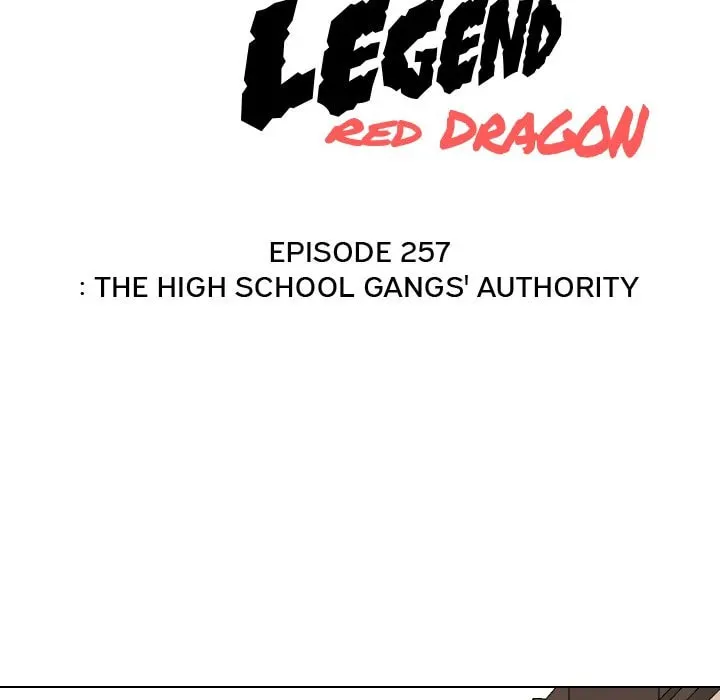Read High School Legend: Red Dragon chapter 257 image 13 on Lezhin