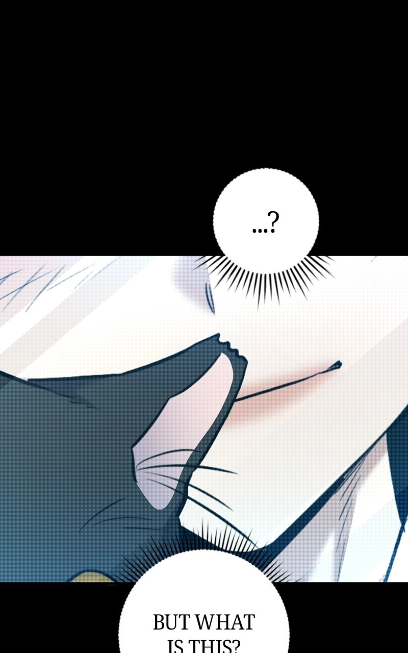 High School Queen Chapter 95 page 146 - 
