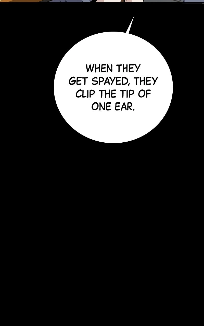High School Queen Chapter 95 page 151 - 