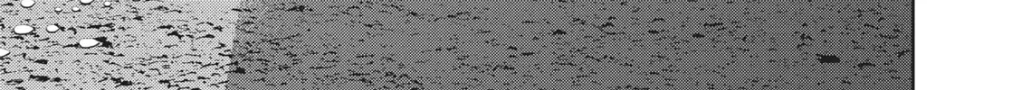 Read Hikari-Man chapter 2.1 image 383 on Lezhin