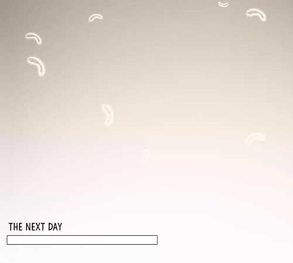 Read His 10,000 Romantic Traps chapter 146 image 22 on Lezhin