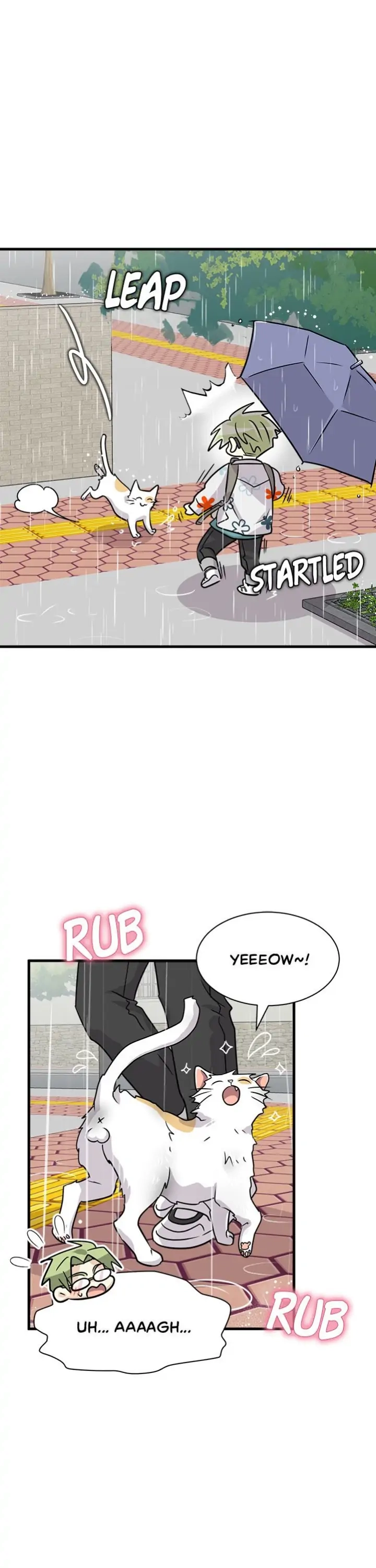 Read His Enemy Downstairs chapter 22 image 8 on Lezhin
