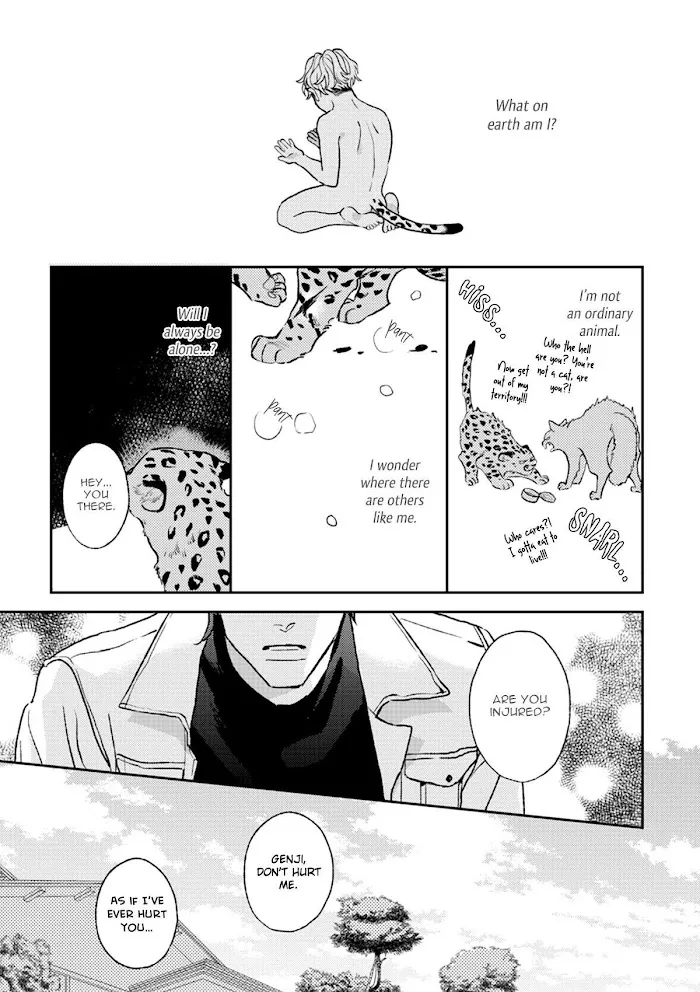 Read His Little Amber chapter 2 image 3 on Lezhin
