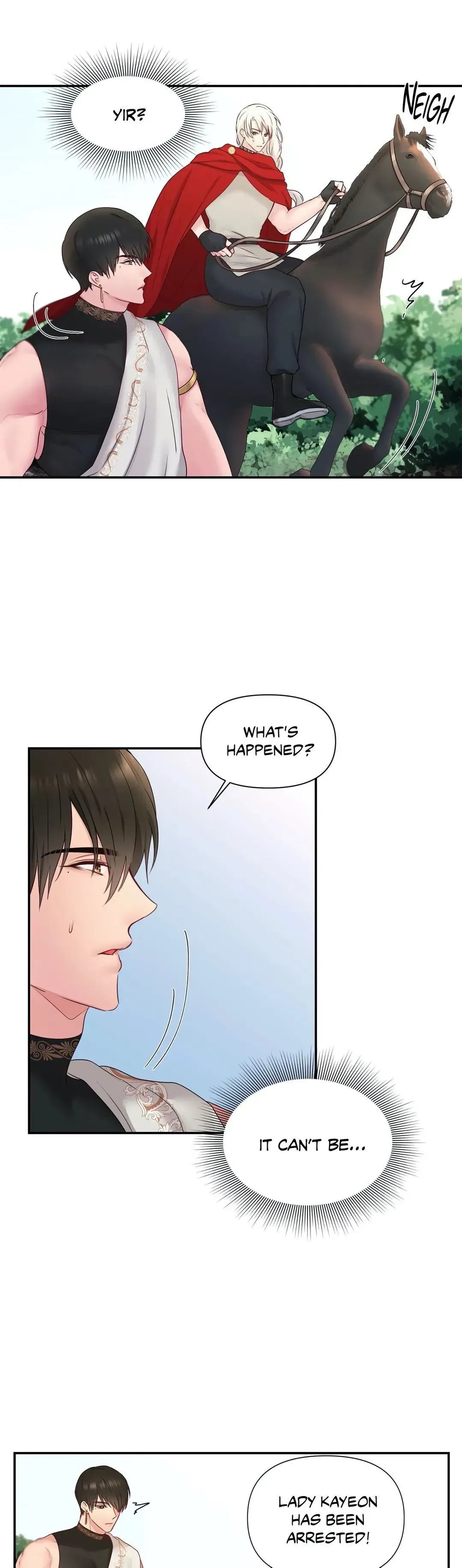 His Majesty is Mine Chapter 29 page 5 - 