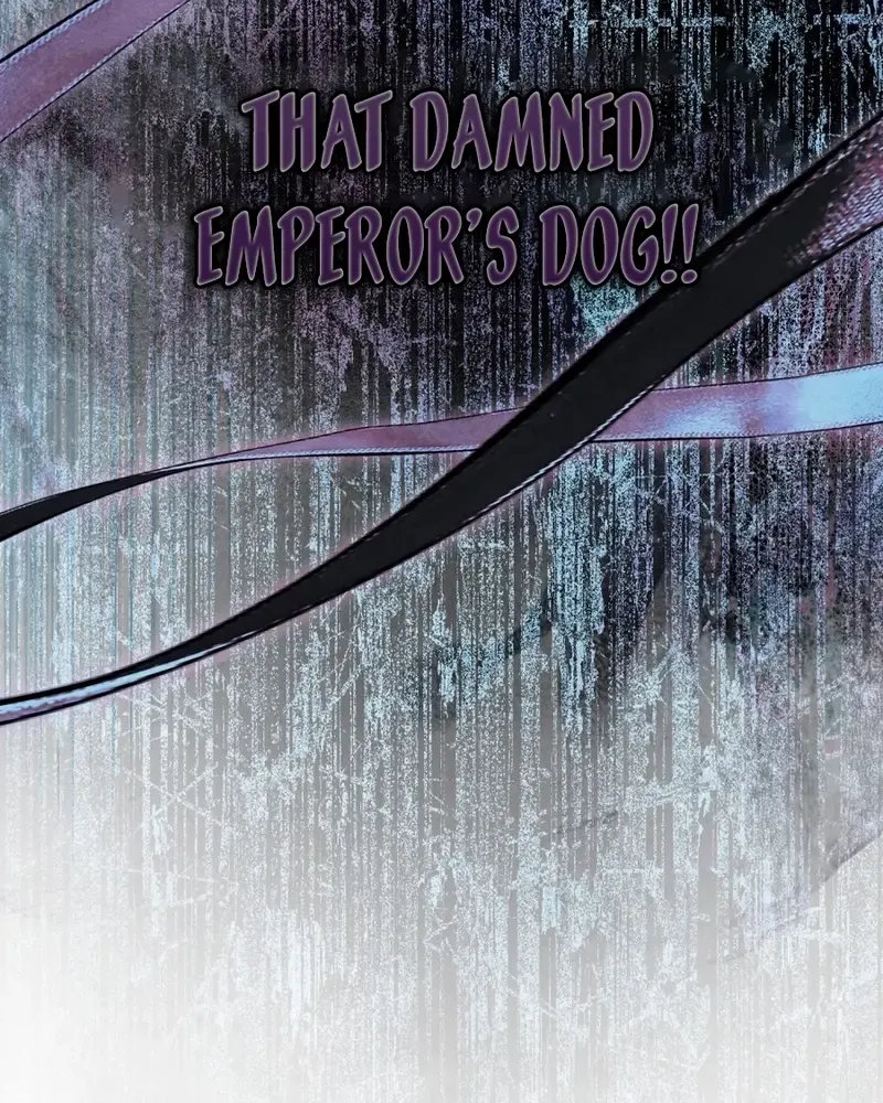 His Majesty's Night Chapter 1 page 71 - 