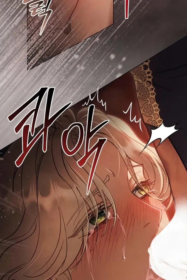 His Majesty's Night Chapter 17 page 79 - 
