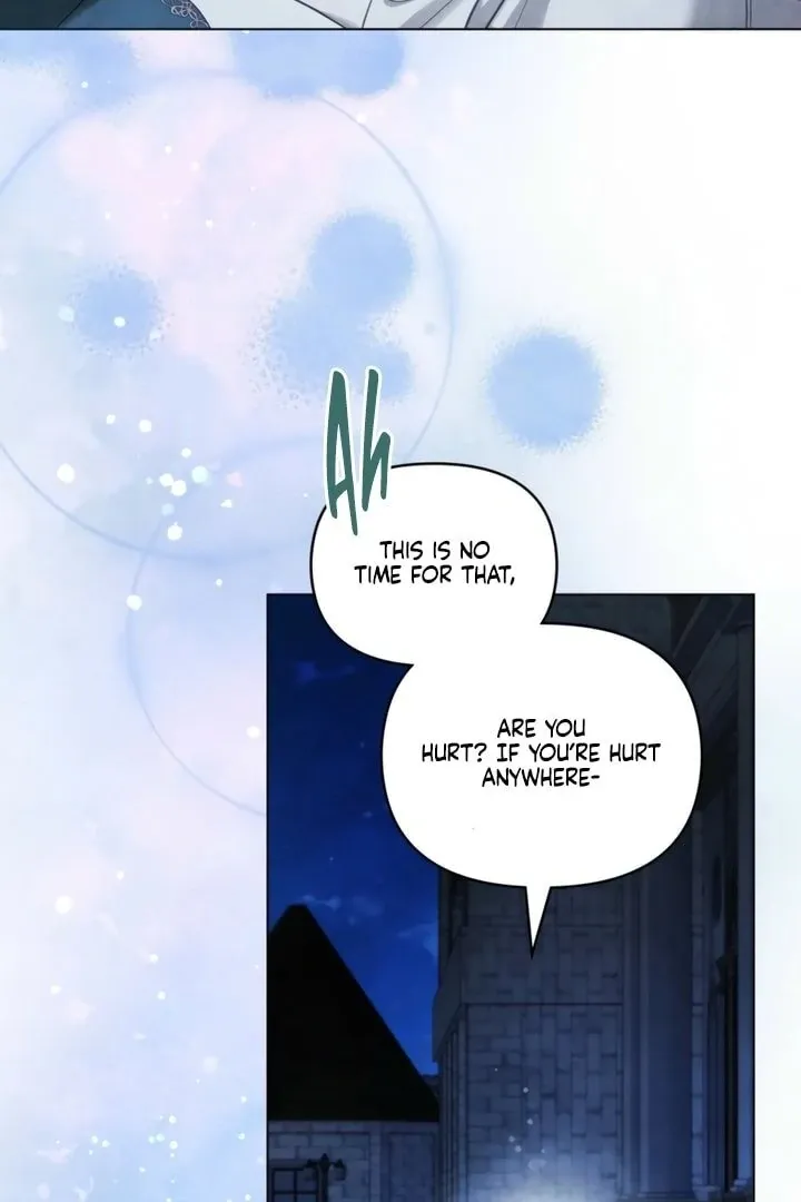 His Majesty's Night Chapter 21 page 67 - 