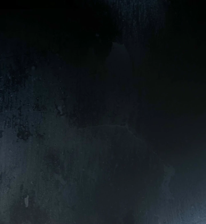 His Majesty's Night Chapter 34 page 69 - 