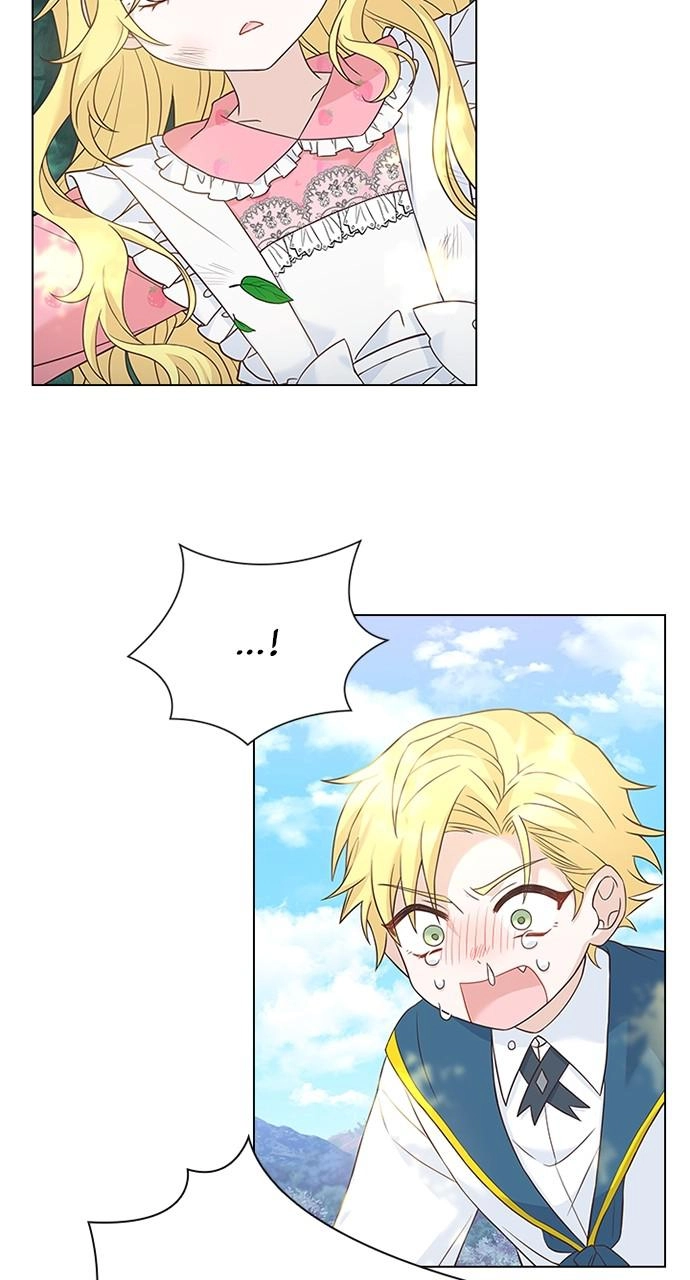 Read His Majesty