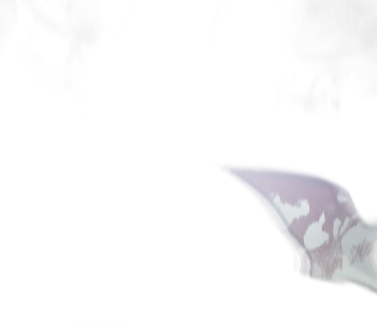 Read His Perfect Guide chapter 42 image 107 on Lezhin