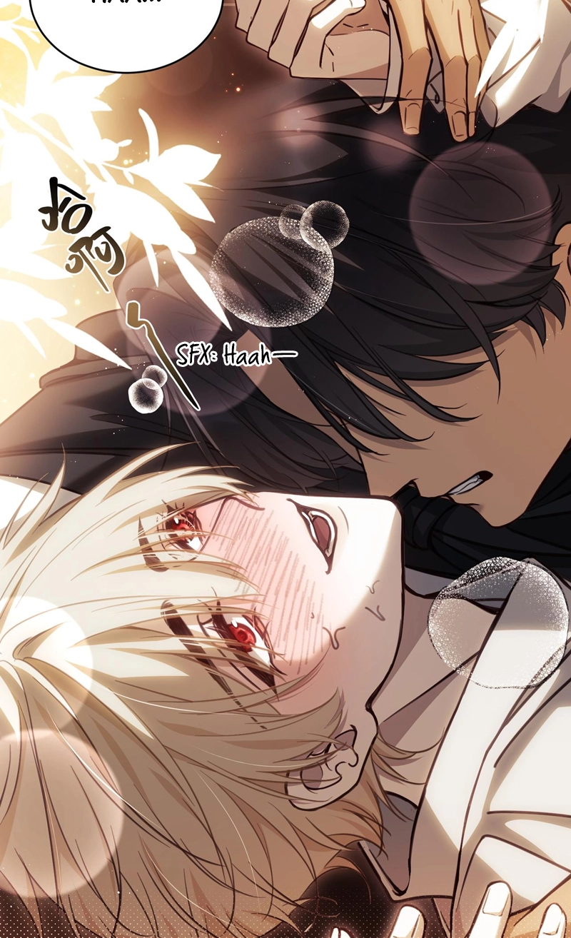 Read His Prey chapter 2 image 21 on Lezhin