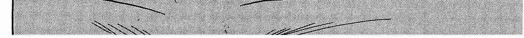 Read Hisoka Returns! chapter 39 image 31 on Lezhin