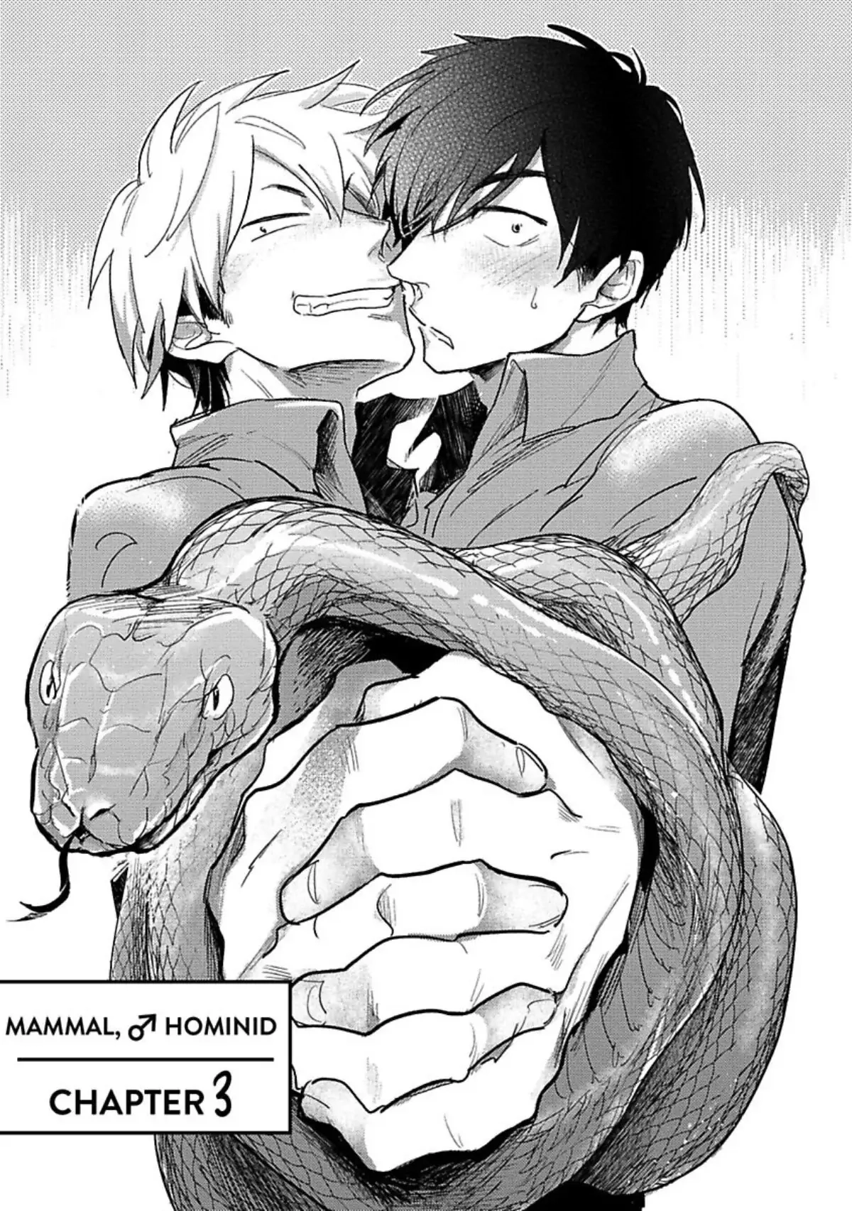 Hochichirui Hitoka Chapter 3 page 2 - 