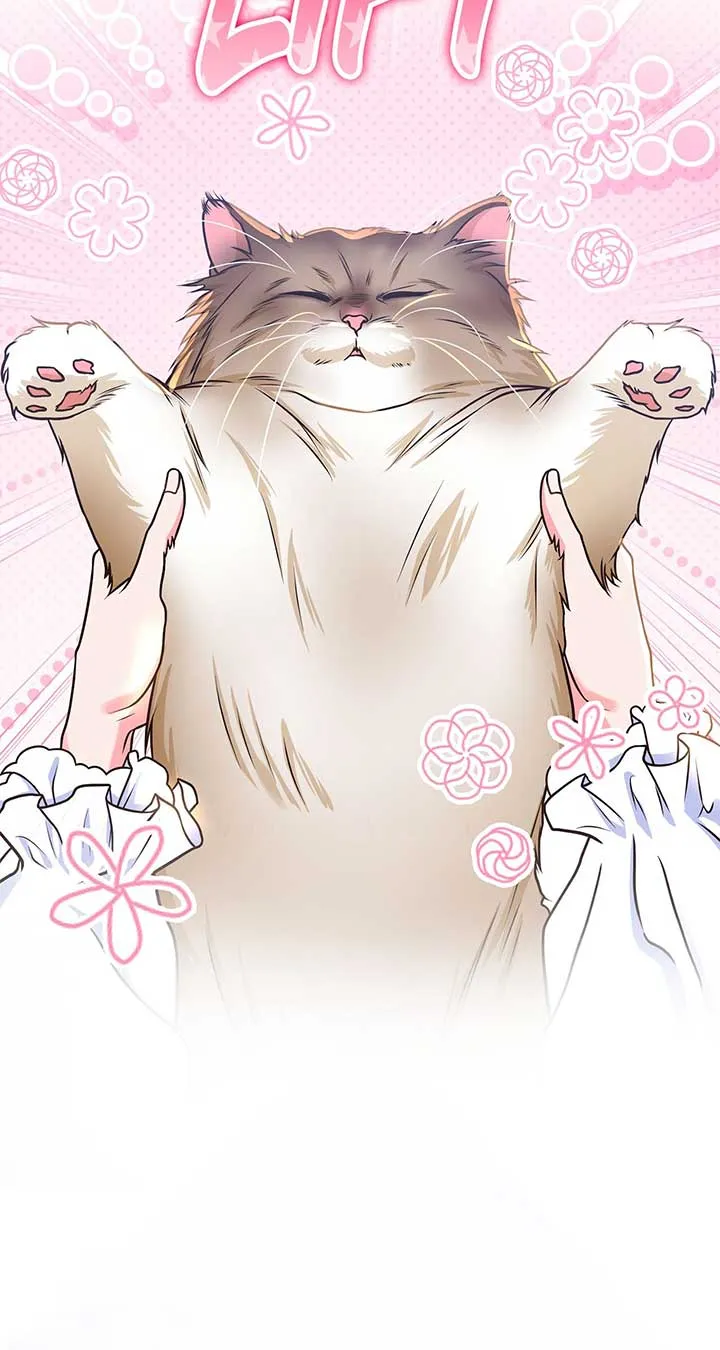 Read Holding You Captive chapter 50 image 11 on Lezhin
