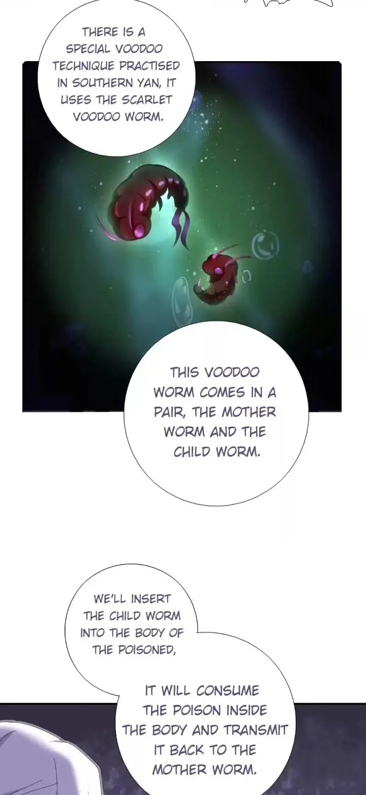 Read Holy Chef, Crazy Empress chapter 175 image 11 on Lezhin