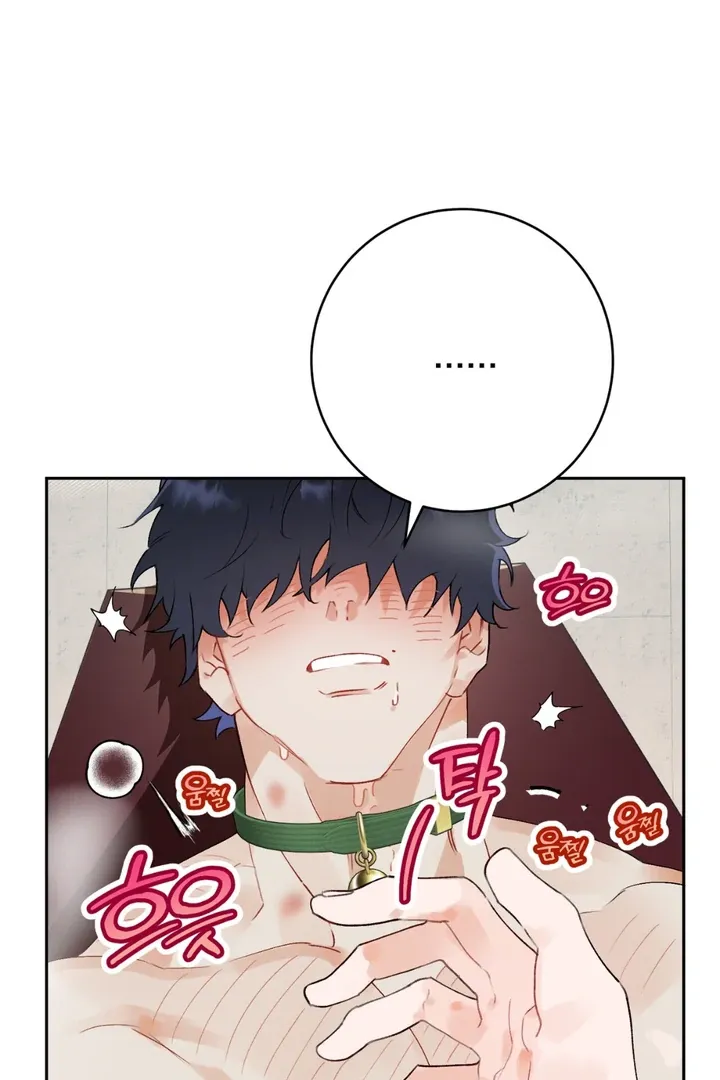 Read Holy yet Merciless chapter 1 image 13 on Lezhin