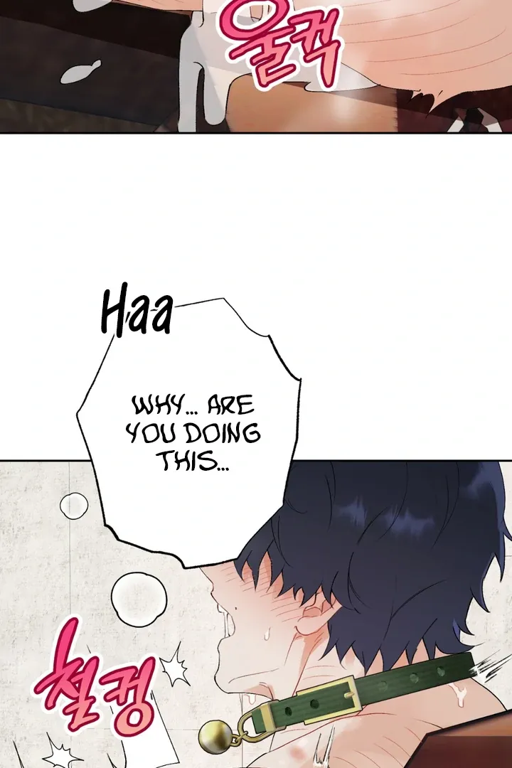 Read Holy yet Merciless chapter 1 image 3 on Lezhin