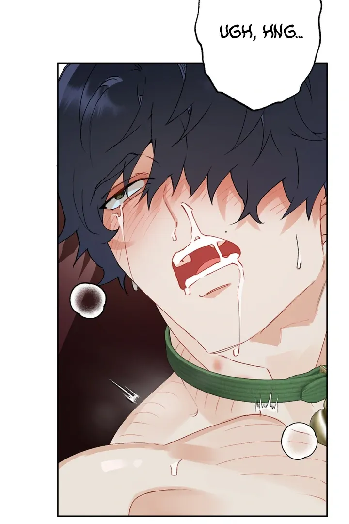Read Holy yet Merciless chapter 1 image 60 on Lezhin