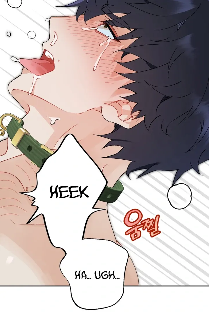 Read Holy yet Merciless chapter 1 image 64 on Lezhin