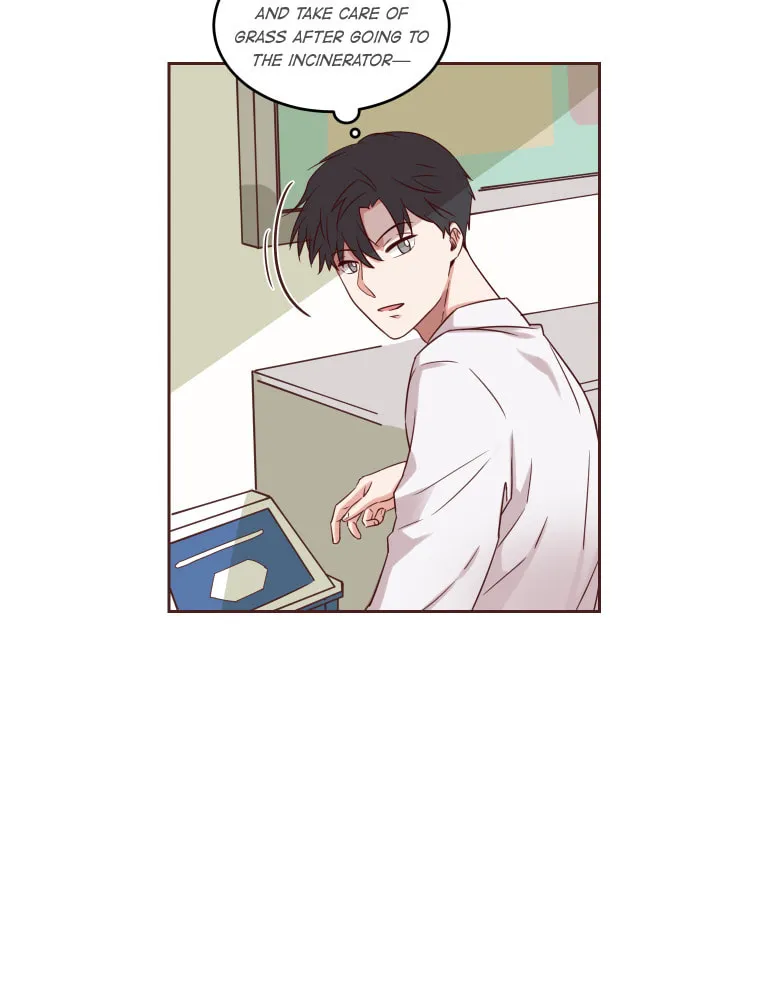 Read Homemaker chapter 1 image 63 on Lezhin