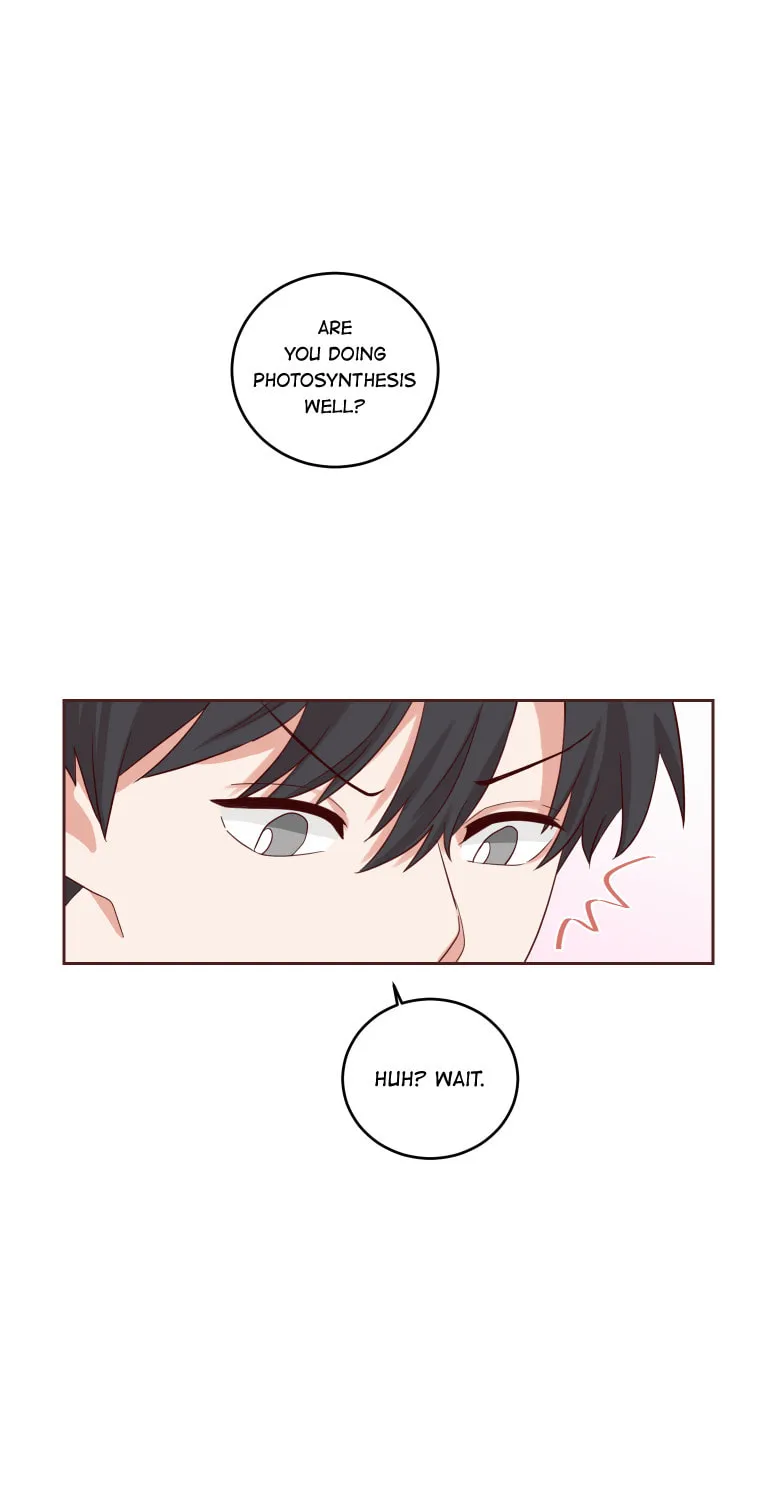 Read Homemaker chapter 1 image 91 on Lezhin