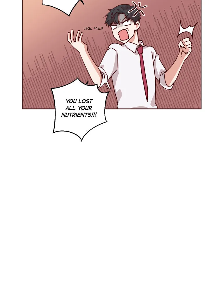 Read Homemaker chapter 1 image 93 on Lezhin