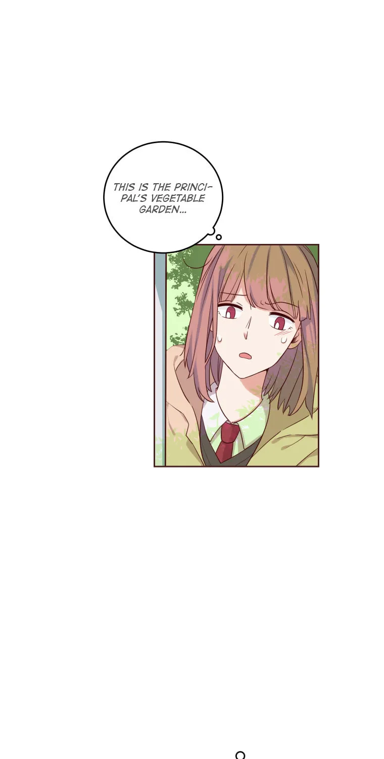 Read Homemaker chapter 2 image 1 on Lezhin