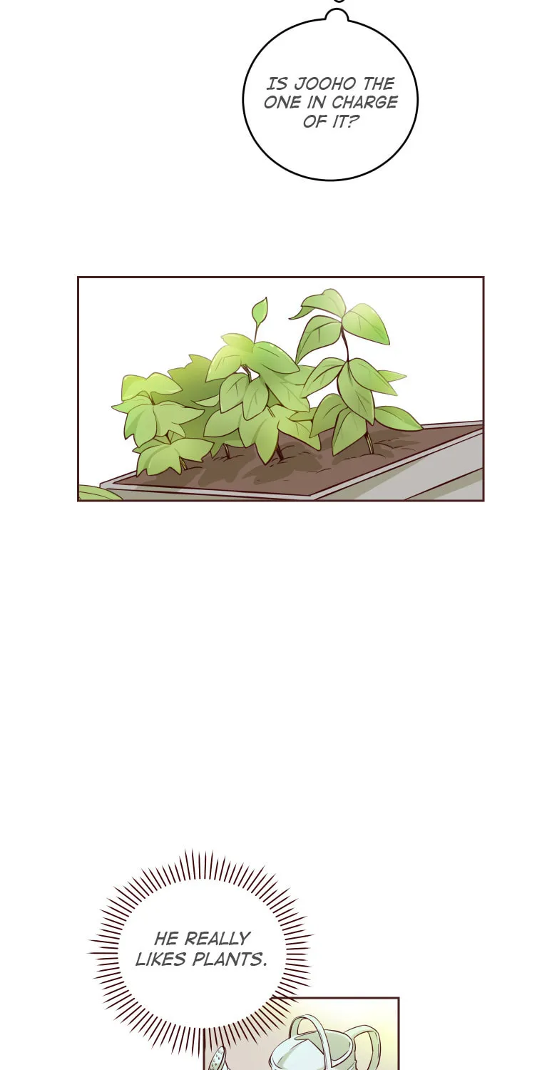 Read Homemaker chapter 2 image 2 on Lezhin
