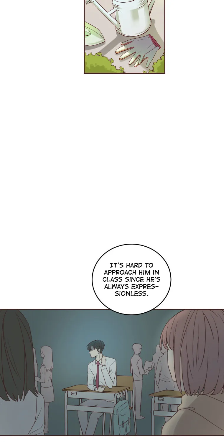 Read Homemaker chapter 2 image 3 on Lezhin