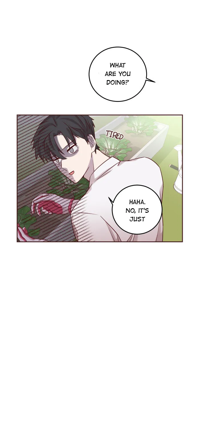 Read Homemaker chapter 3 image 6 on Lezhin