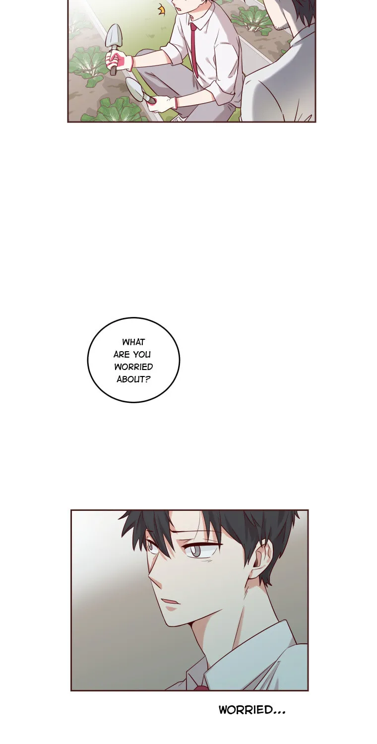 Read Homemaker chapter 3 image 8 on Lezhin