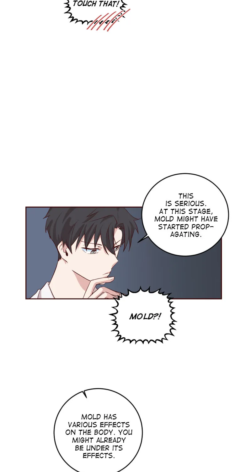 Read Homemaker chapter 6 image 49 on Lezhin