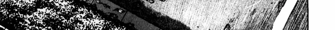 Read Homunculus chapter 1 image 161 on Lezhin