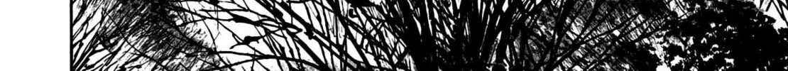 Read Homunculus chapter 10 image 271 on Lezhin