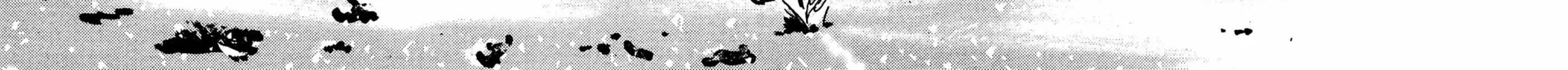 Read Homunculus chapter 15 image 227 on Lezhin