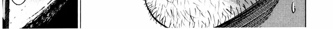 Read Homunculus chapter 2 image 251 on Lezhin