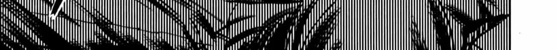 Read Homunculus chapter 2 image 349 on Lezhin