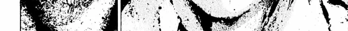 Read Homunculus chapter 3 image 233 on Lezhin