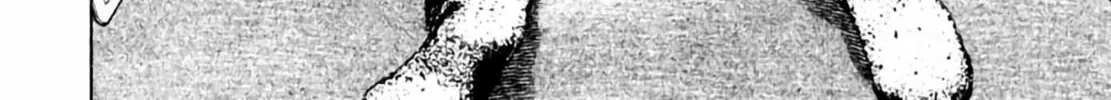 Read Homunculus chapter 3 image 245 on Lezhin