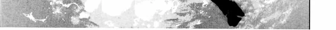 Read Homunculus chapter 6 image 259 on Lezhin