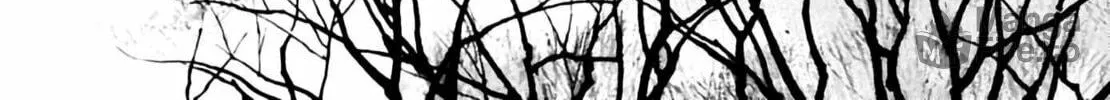 Read Homunculus chapter 6 image 393 on Lezhin