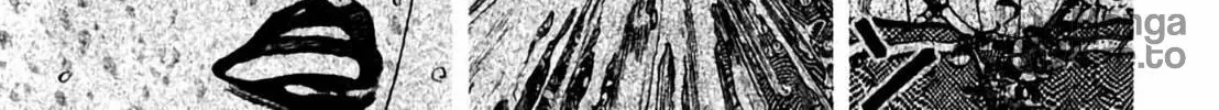 Read Homunculus chapter 8 image 217 on Lezhin