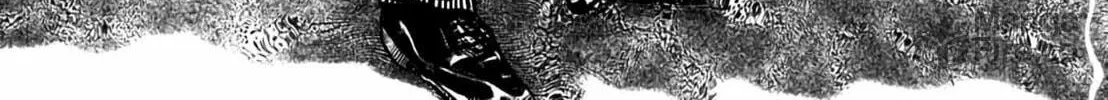 Read Homunculus chapter 8 image 219 on Lezhin