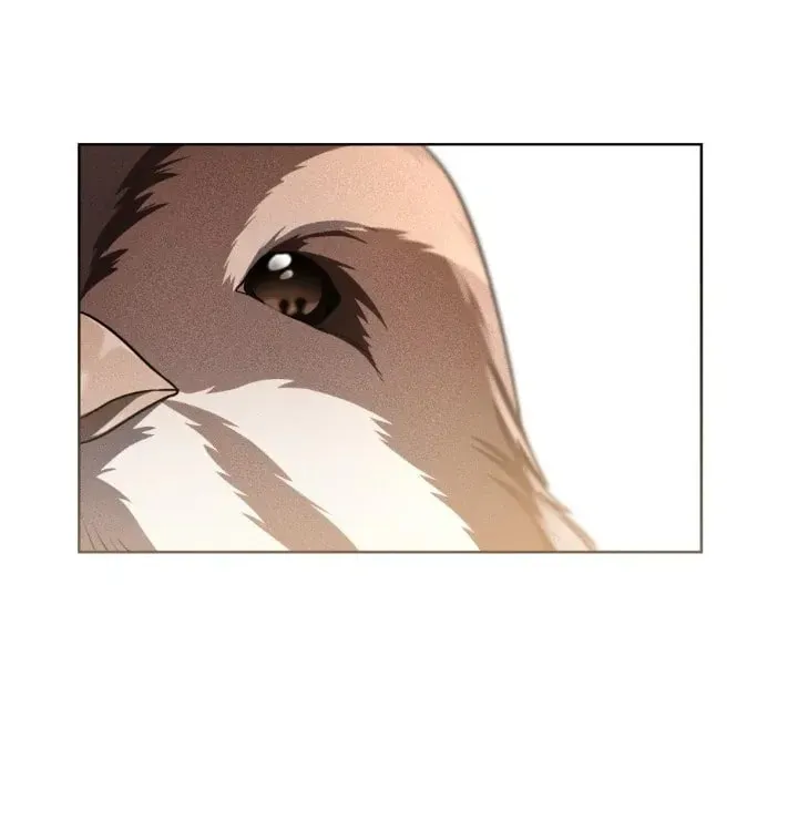 Honbul Chapter 6 page 88 - 
