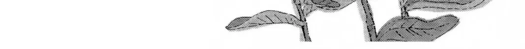 Read Honey and Clover chapter 22 image 1 on Lezhin