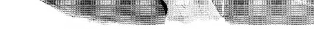 Read Honey and Clover chapter 26 image 1 on Lezhin
